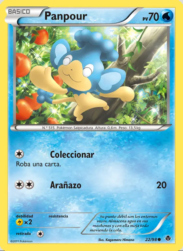 Image of the card Panpour