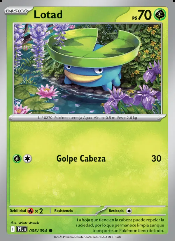 Image of the card Lotad