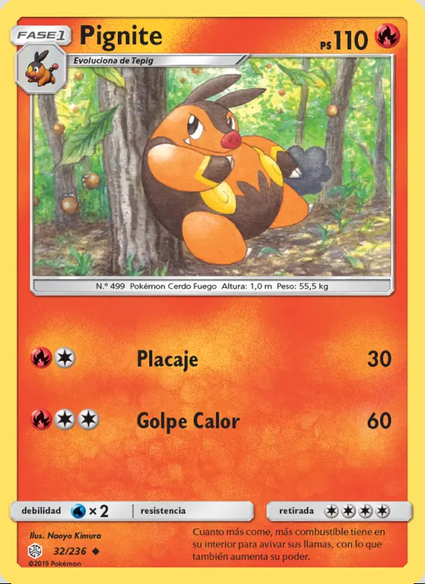 Image of the card Pignite