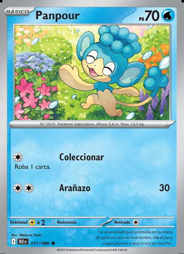 Image of the card Panpour