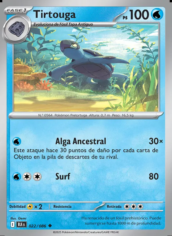 Image of the card Tirtouga