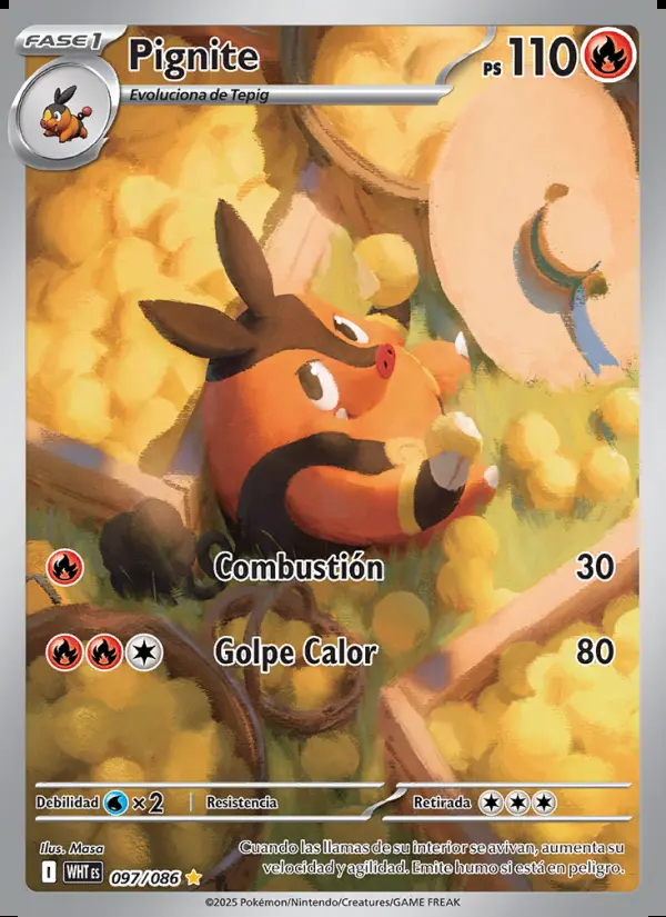 Image of the card Pignite