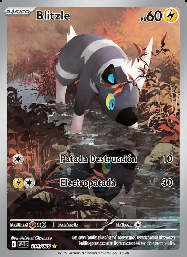 Image of the card Blitzle