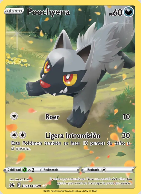 Image of the card Poochyena