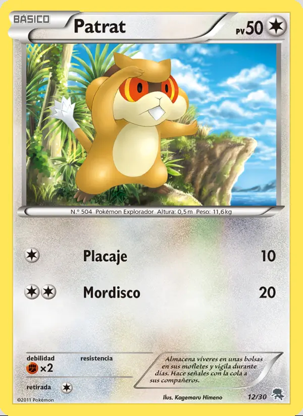 Image of the card Patrat